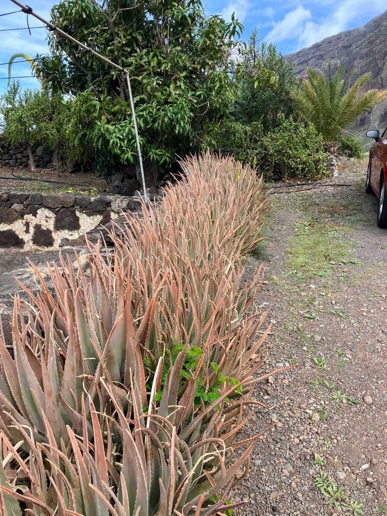 Casa Nela. Rural Y Acogedora En Las Puntas El Hierro Frontera Bagian luar foto