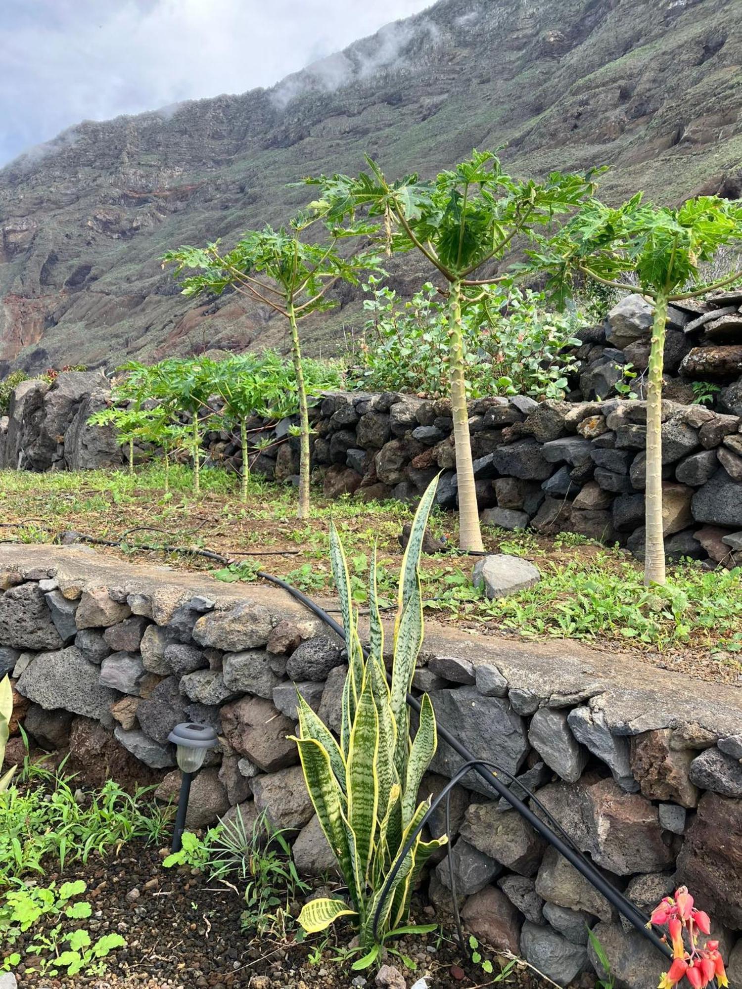 Casa Nela. Rural Y Acogedora En Las Puntas El Hierro Frontera Bagian luar foto